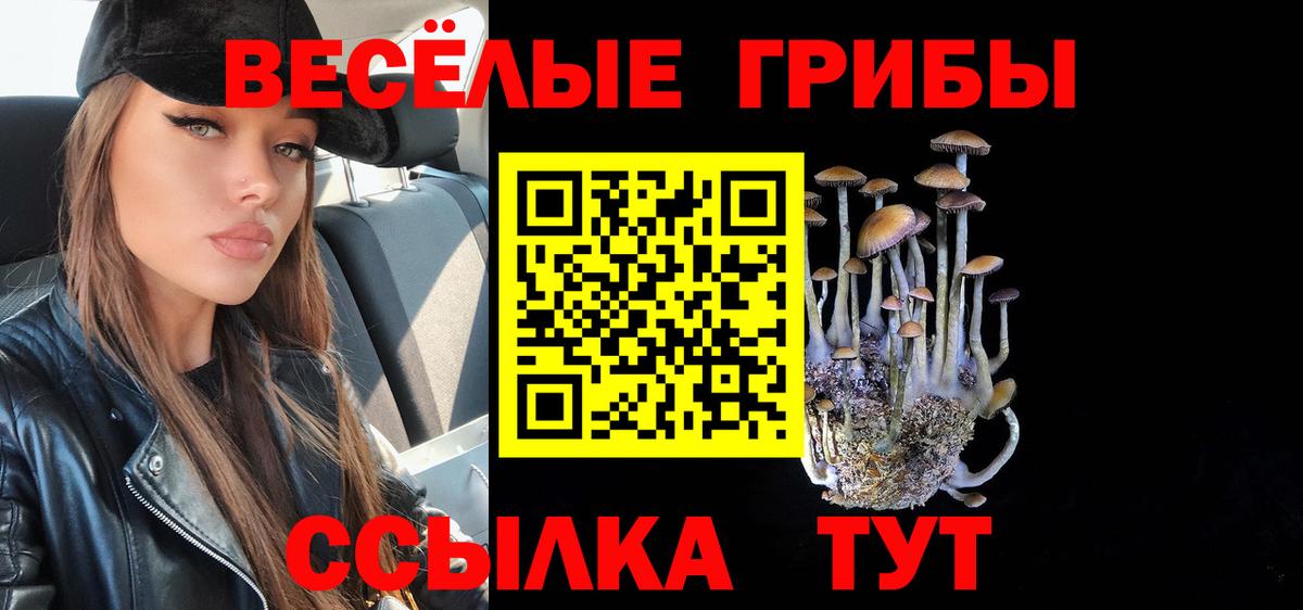 Псилоцибиновые грибы Psilocybe  цены наркотик  Нефтеюганск  Вход с VPN 